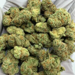 Glitter Bomb Exotic THCa Flower Wholesale