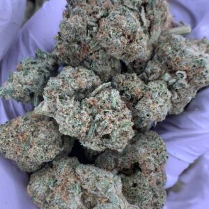 Hawaiian Shaved Ice THCa Flower buds with a tropical and fruity flavor profile