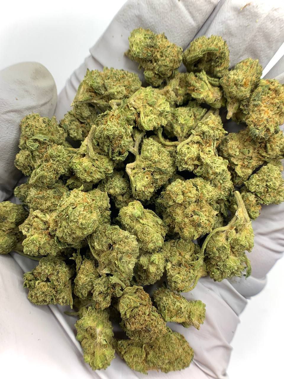 Apple Tartz THCa Flower 1 Apple Tartz THCa Flower with dense, frosty buds and a sweet, tart apple aroma