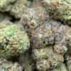 Beignets Exotic THCa Flower with frosty buds and sweet, doughy aroma