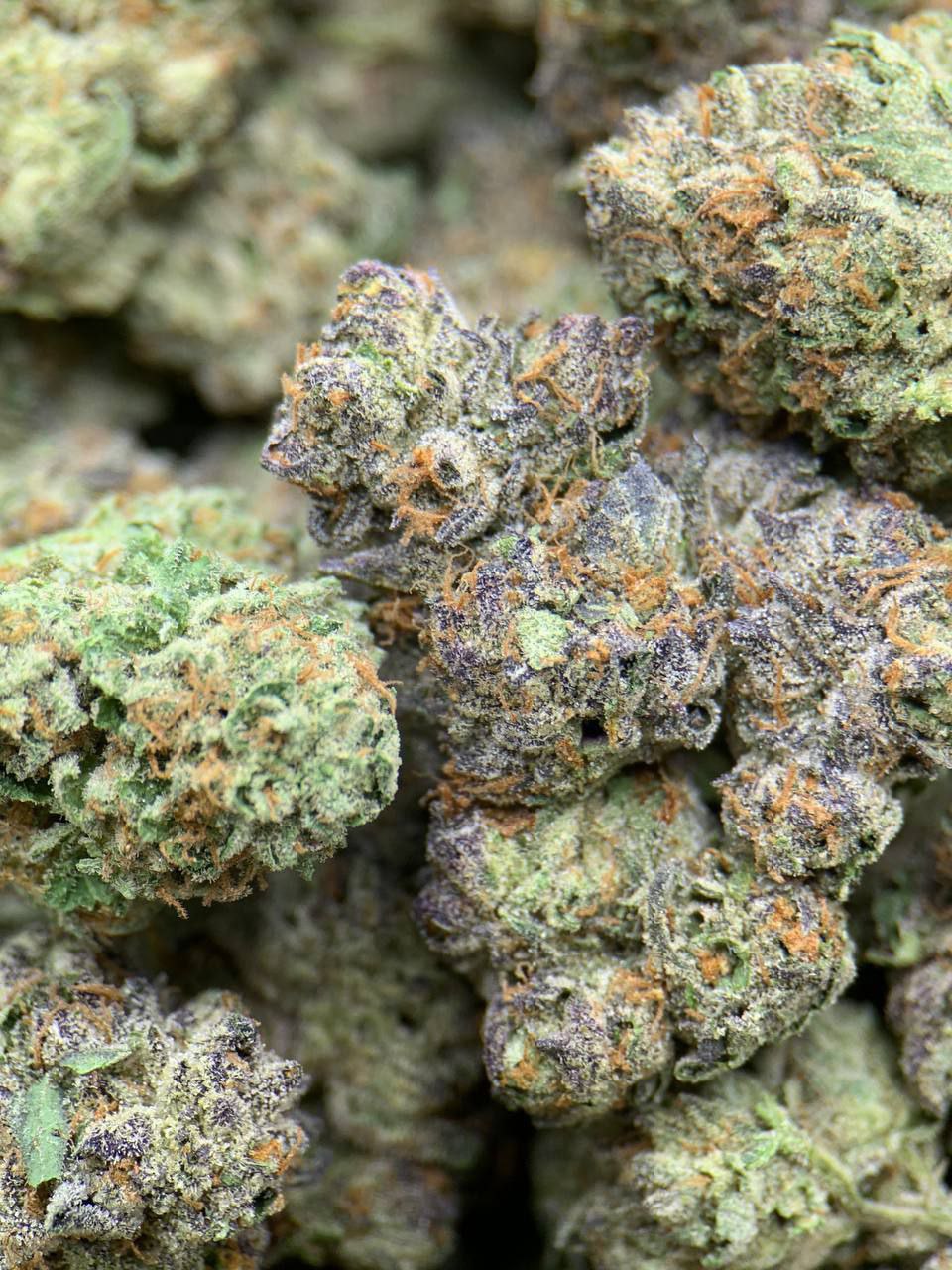 Beignets Exotic THCa Flower 1 Beignets Exotic THCa Flower with frosty buds and sweet, doughy aroma