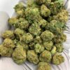 Bubble Bath THCa Flower for Bulk Wholesale Purchase