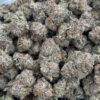 Bulk Jack Herer HHC Flower - Wholesale HHC Buds - High-Quality Cannabis