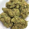 ChemDawg THCa Flower (Chemdog) for Bulk Wholesale Purchase