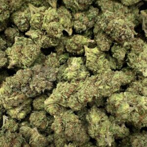 Close-up of Rainbow Sherbet THCa Flower, highlighting the strain's unique characteristics and trichome structure
