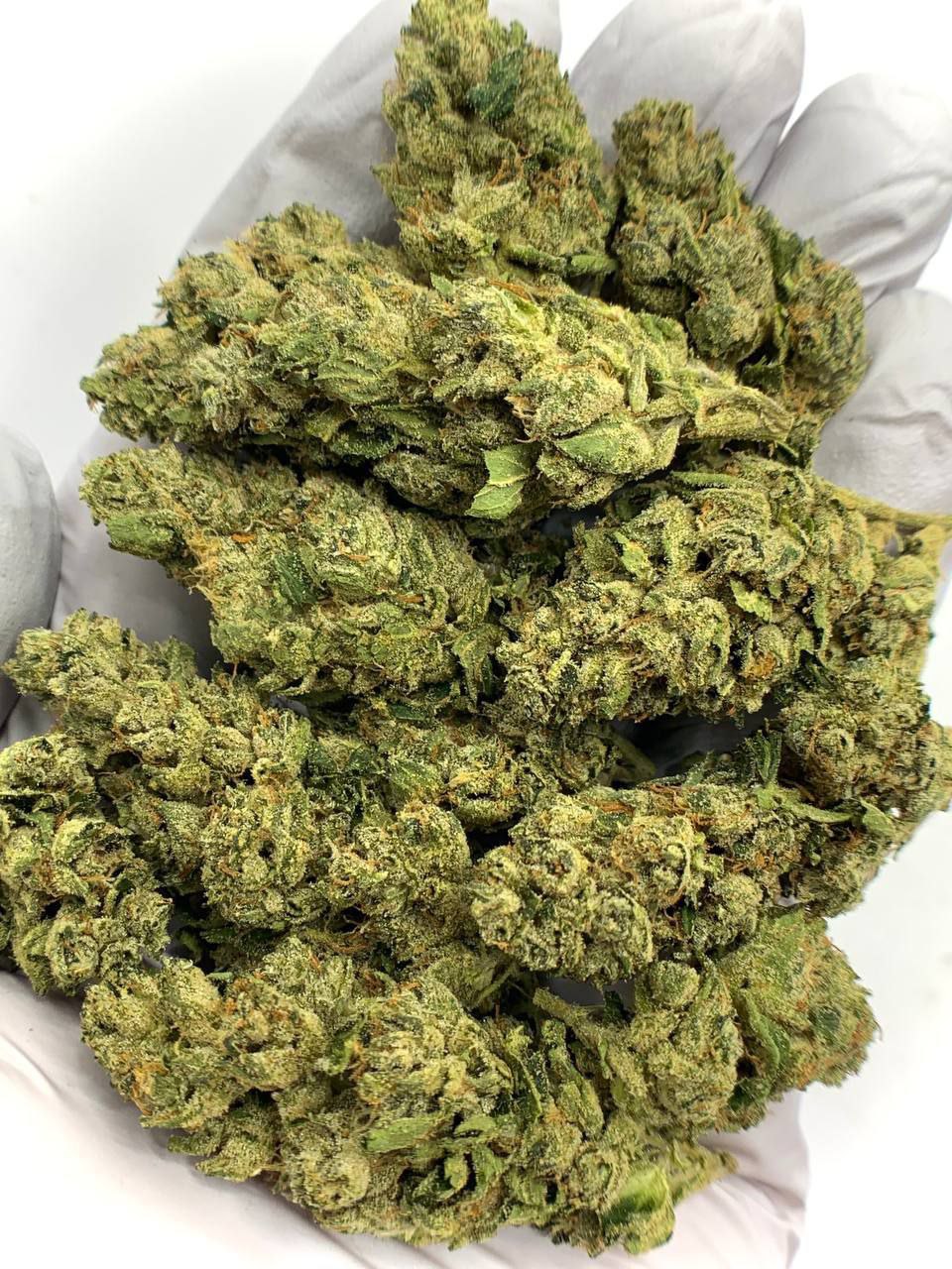 Fire OG THCa Flower 1 Fire OG THCa Flower for Bulk Wholesale