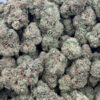 Fruity Pebbles HHC Flower - Wholesale HHC Buds - High-Quality Cannabis