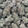 Girl Scout Cookies HHC Flower - Wholesale HHC Buds - High-Quality Cannabis