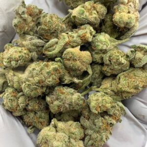 Grapes and Cream THCa Flower buds on a white background, showcasing dense, purple-hued nugs with a sweet, fruity aroma