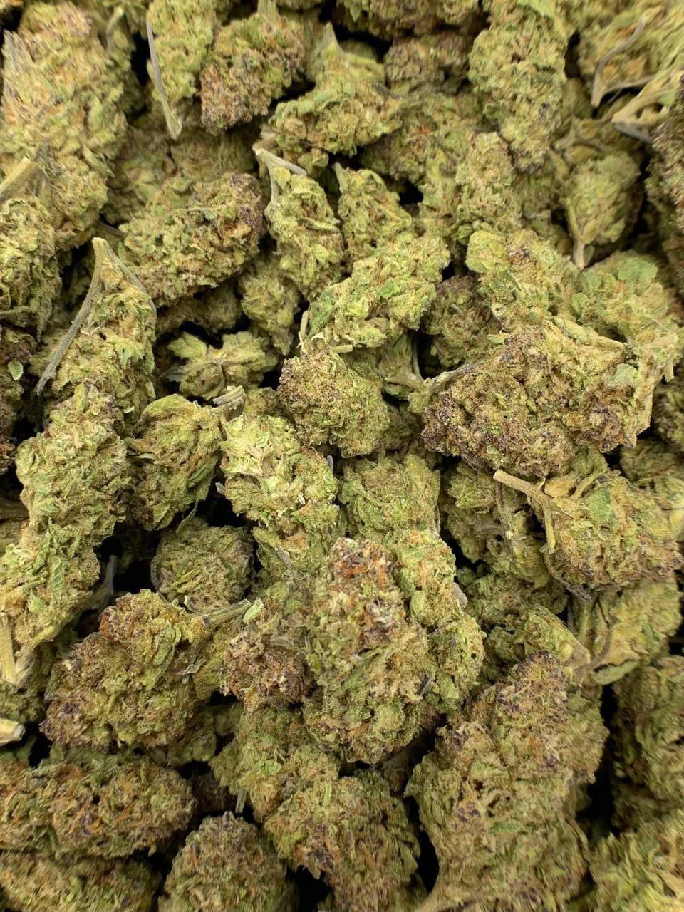 Gushers THCa Flower 2 Gushers THCa Flower buds on a white background, showcasing dense, purple-hued nugs with a sweet, fruity aroma