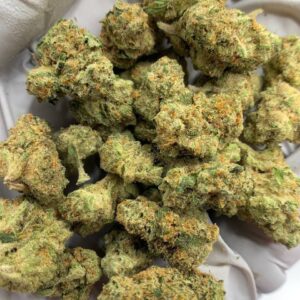 Honey Buns Exotic THCa Flower buds on a white background, showcasing dense, frosty nugs with a sweet aroma