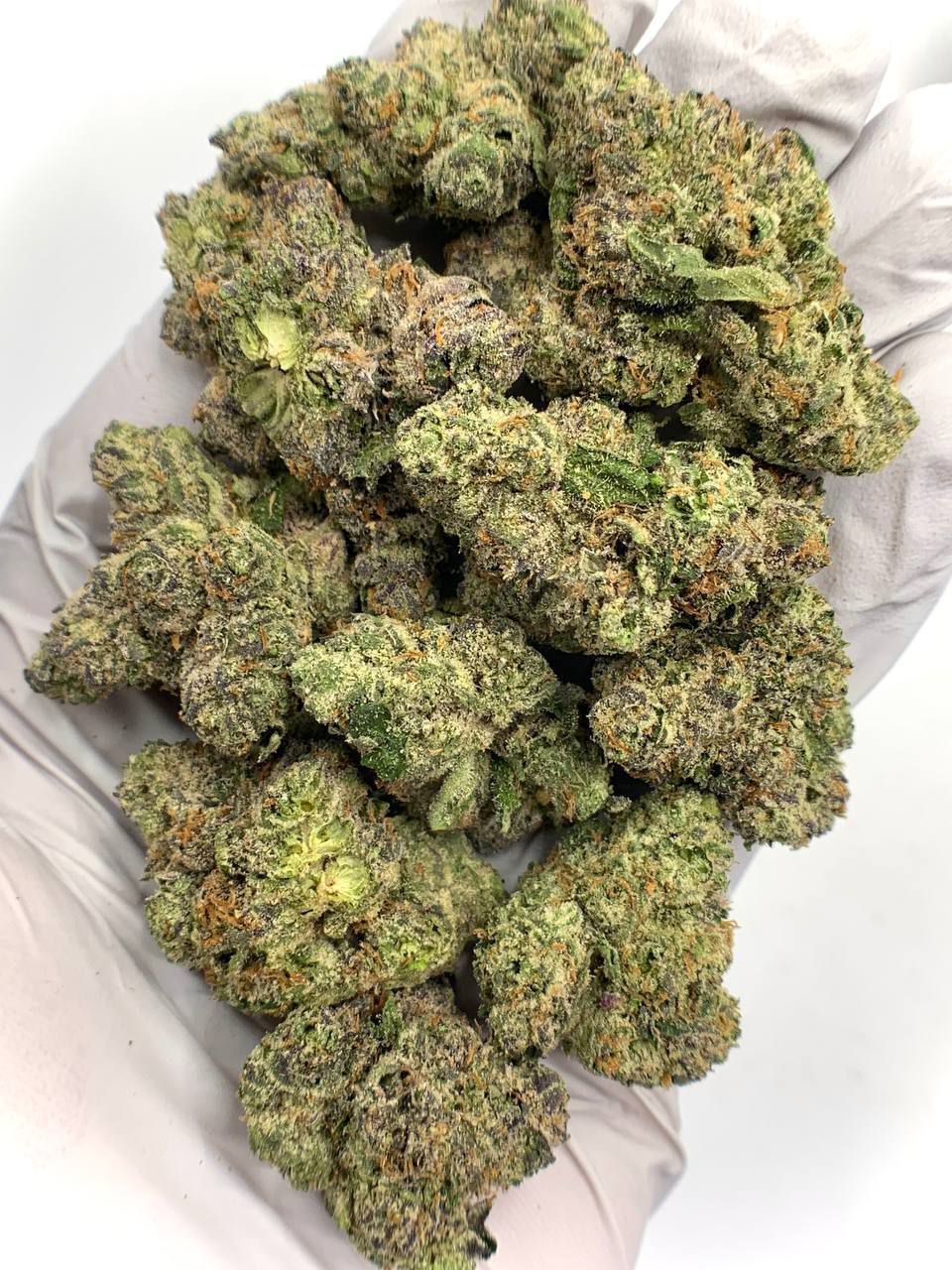 Pink Gummy Exotic THCa Flower 1 Pink Gummy Exotic THCa Flower with vibrant buds and sweet, fruity aroma
