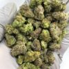 Platinum Lemon Gushers THCa Flower with vibrant citrus aroma and resin-covered buds