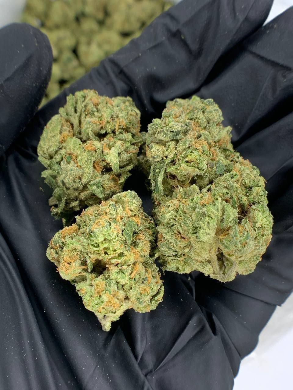 Super Sonic THCa Flower 1 Super Sonic THCa Flower for Wholesale Hemp Purchase