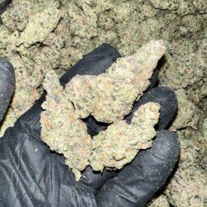 Super Sour Space Candy HHC Flower - High-Quality Cannabis Buds in Bulk Quantities