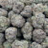Wholesale Purple Punch HHC Flower - Bulk HHC Buds - High-Quality Cannabis