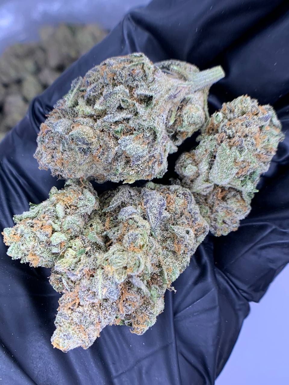 Molotov Cocktail THCa Flower 1 A close-up of Molotov Cocktail THCa Flower showcasing its dense, crystal-covered buds.
