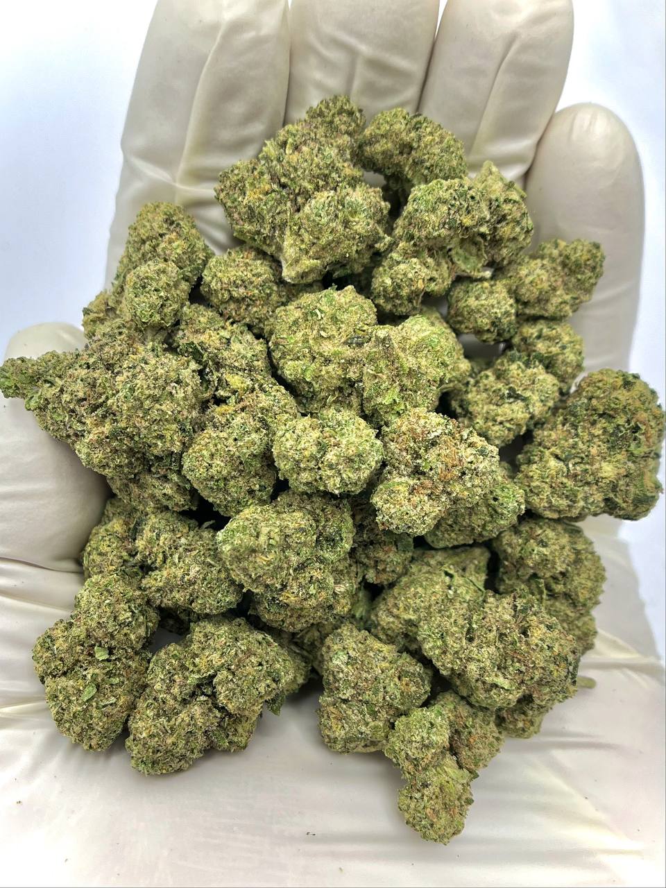 Cadillac Rainbows THCA Flower 1 Cadillac Rainbows THCA Flower - Premium Colorful Cannabis for Wholesale Buyers