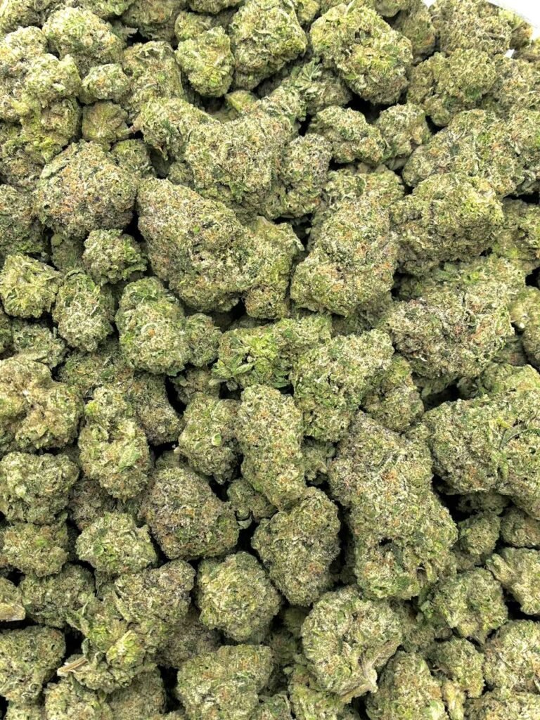 Cap Junky THCa Flower - High-quality wholesale cannabis flower with high THCa content. Cap Junky THCa Flower - High-quality wholesale cannabis flower with high THCa content.