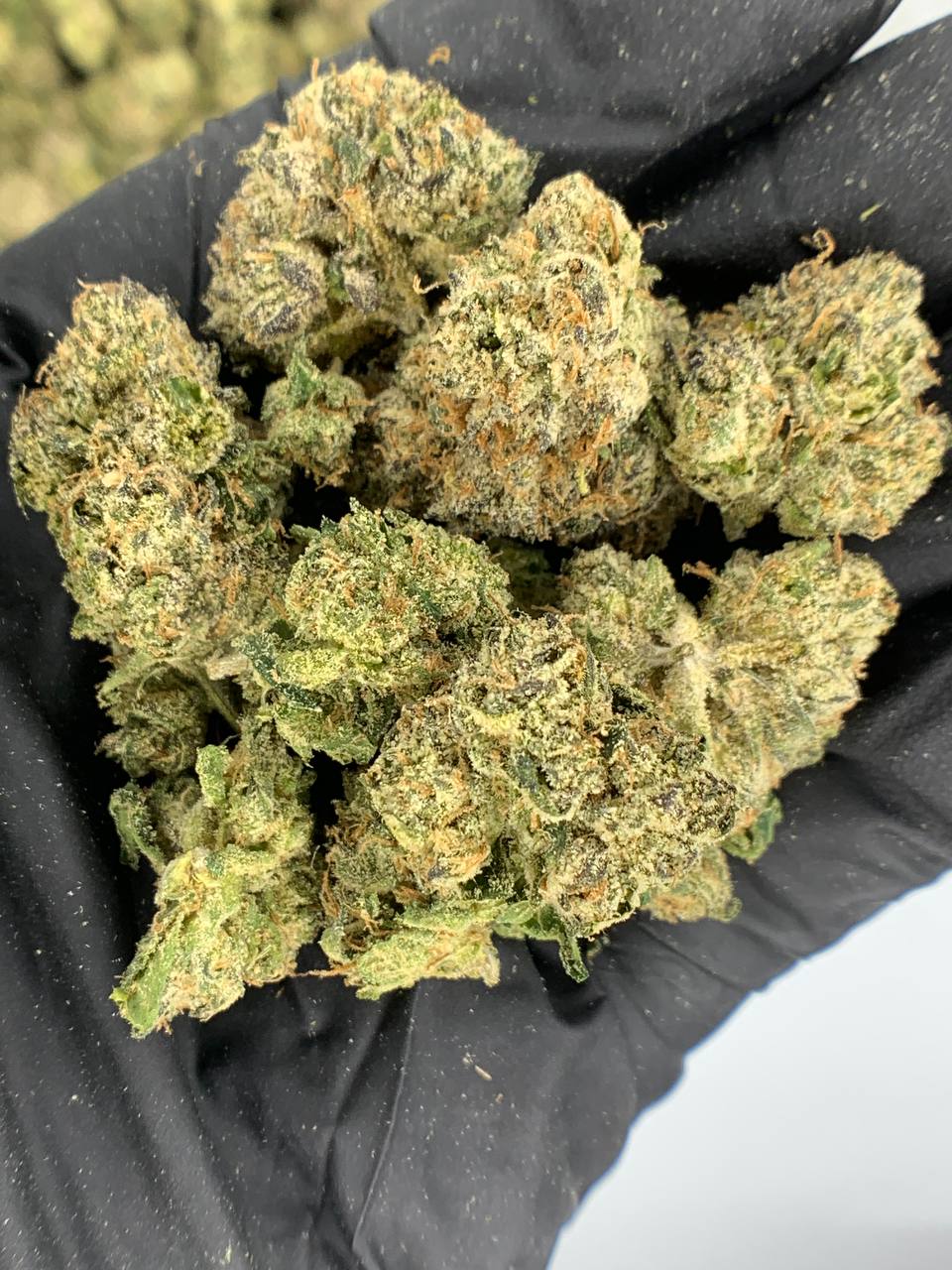 Airhead Runtz THCa Flower 1 Close-up of Airhead Runtz THCa Flower showcasing dense buds with frosty trichomes.