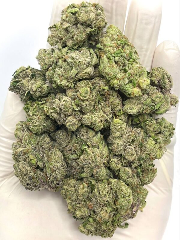 Close-up of Pave Runtz THCa Flower showing frosty trichomes on colorful buds.