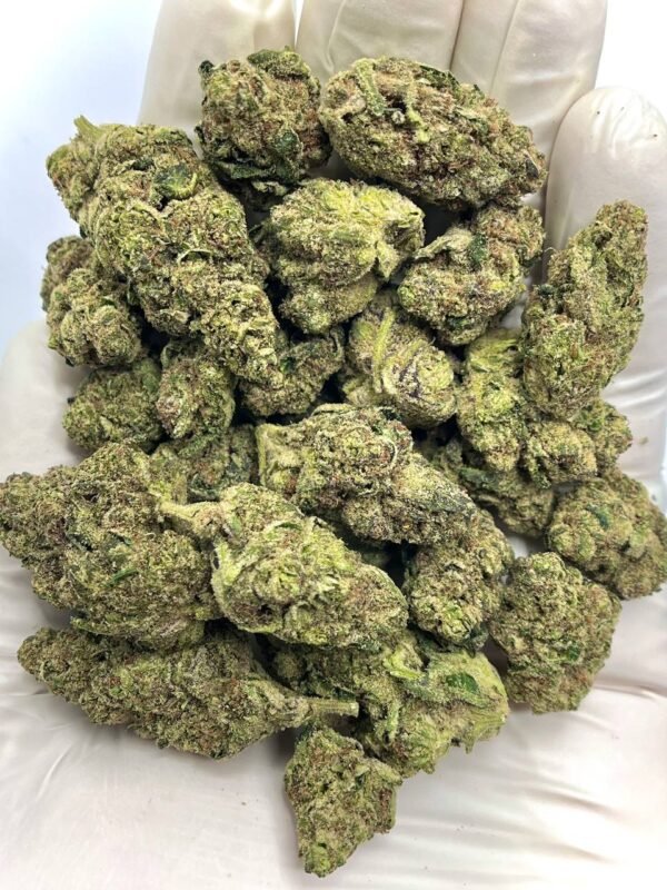 Elektra Ice THCa Flower - Premium THCa flower with icy flavor and calming effects, ideal for wholesale.