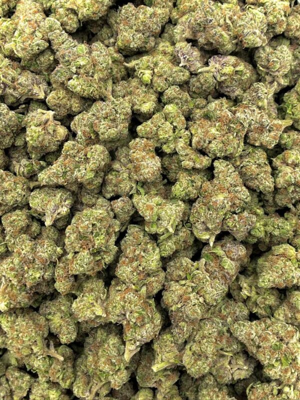 High THCa Rainbow Push Pop Flower, ideal for wholesale cannabis buyers