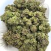 Joker Candy THCA Flower - Sweet Hybrid Cannabis Strain for Wholesale Buyers