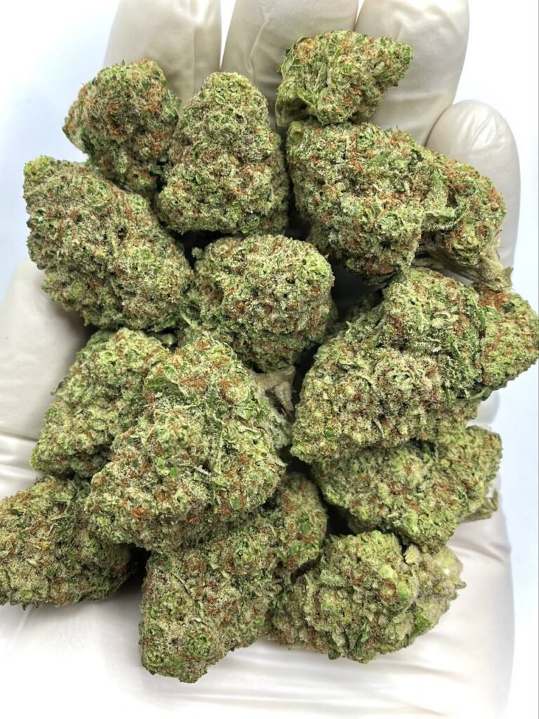 Papaya Punch THCa Flower - Tropical THCa-rich cannabis flower for wholesale with fruity aroma and relaxing effects. Papaya Punch THCa Flower - Tropical THCa-rich cannabis flower for wholesale with fruity aroma and relaxing effects.