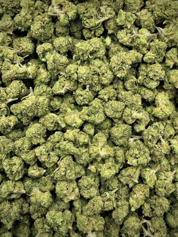 Permanent Marker THCa Flower Wholesale