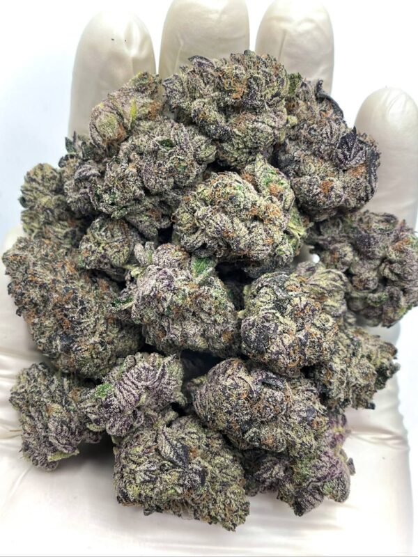 Purple Cream THCa Flower - Premium THCa flower with creamy aroma and calming effects for wholesale.