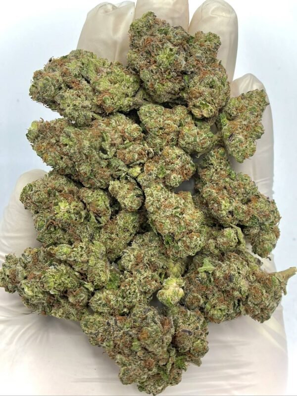 Rainbow Push Pop THCa Flower bulk wholesale, premium cannabis strain with vibrant colors
