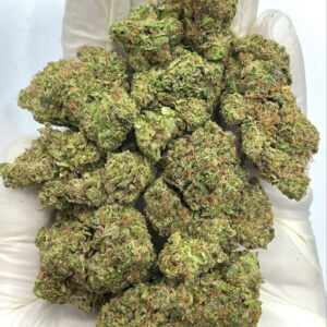 Tropicana Kush THCA Flower - Tropical Hybrid Cannabis for Wholesale