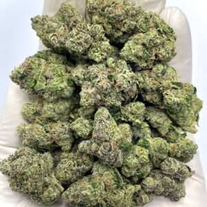 White Cherry Blaster THCA Flower - Sweet Cherry Hybrid for Wholesale Buyers