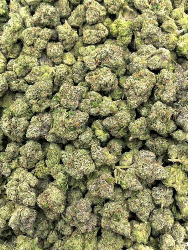 White Cherry Blaster THCa Flower - Premium Wholesale THCa Flower with Sweet Cherry Flavor and Potent Effects