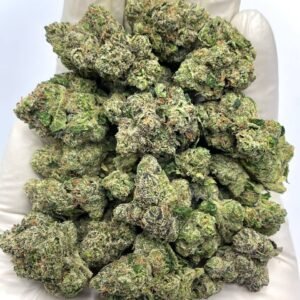 White Cherry Blaster THCa Flower - Sweet cherry-flavored high-THCa cannabis flower for wholesale.