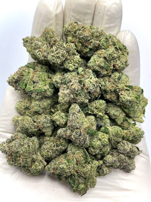 White Cherry Blaster THCa Flower - Sweet cherry-flavored high-THCa cannabis flower for wholesale.