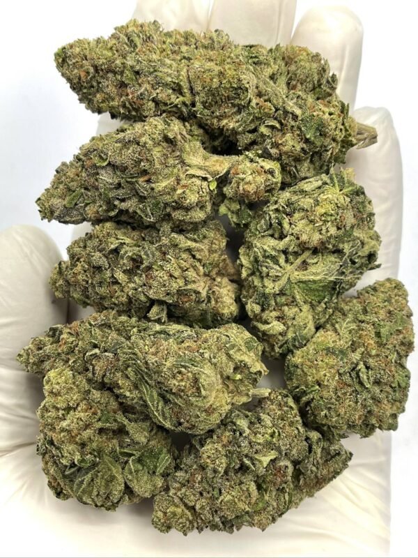 Wholesale Magic Marker THCa Flower