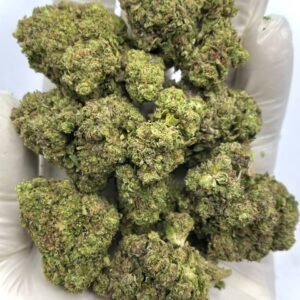 Wholesale Sour Runtz THCa Flower for Dispensaries