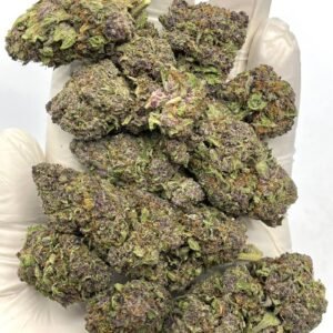 Wholesale Tropicana Cherry THCa Flower for Dispensaries