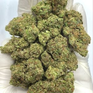 Wholesale Tropicana Kush THCa Flower for Dispensaries