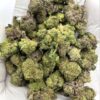 Animal Funk THCA Flower, premium strain for wholesale buyers