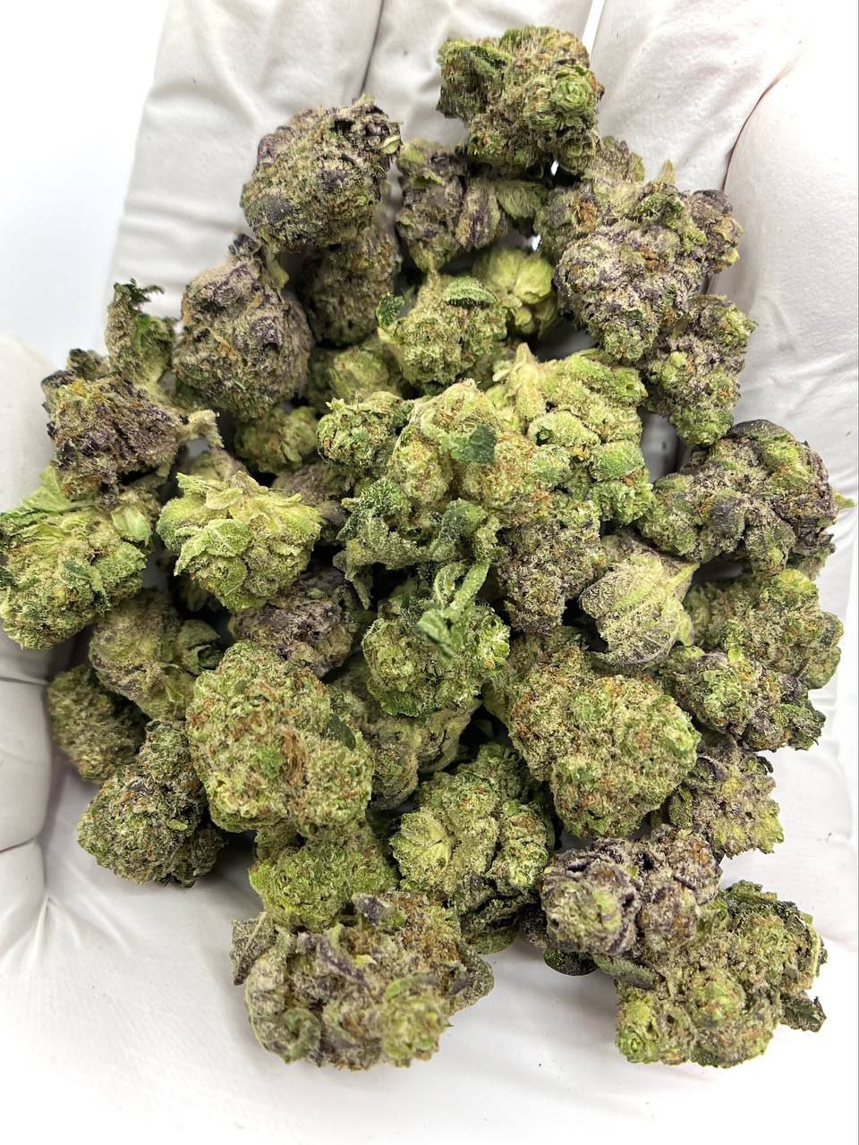 Animal Funk THCA Flower 1 Animal Funk THCA Flower, premium strain for wholesale buyers