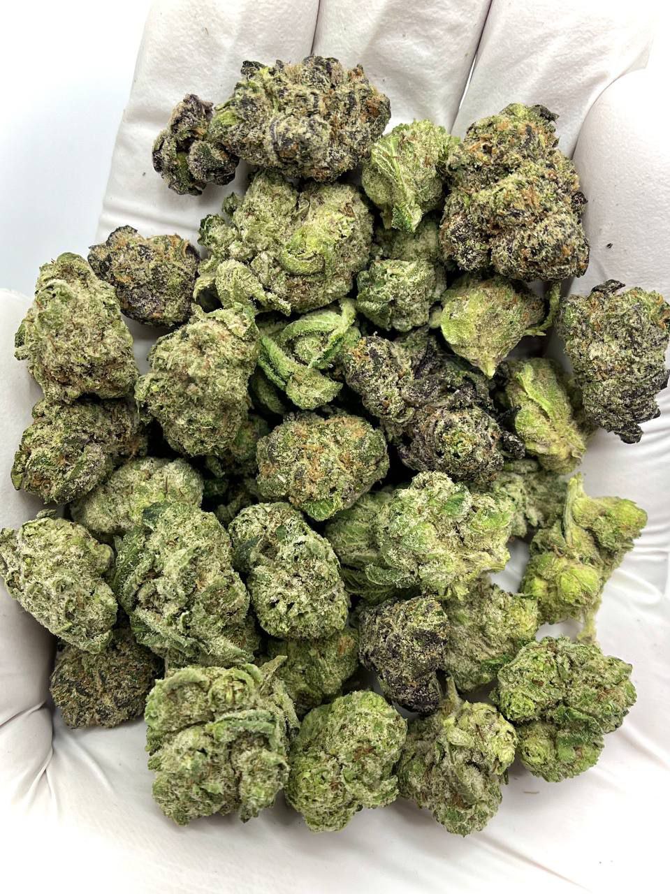 Baby Jokerz THCA Flower 1 Baby Jokerz THCA Flower for wholesale purchase, vibrant premium buds