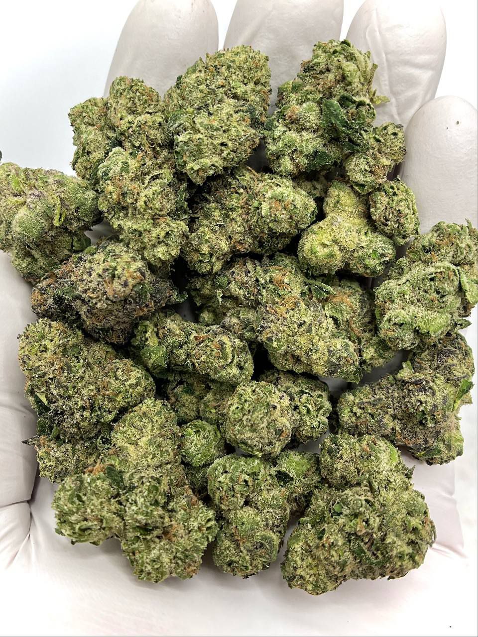 Spooky Runtz THCA Flower 1 Bulk Spooky Runtz THCA Flower with over 30% THCA, compliant THC content for wholesale