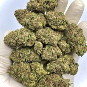 Ice Cream Cake THCa Flower – High-THCa, Premium Wholesale Strain with Sweet Vanilla Flavor and Dense Trichomes
