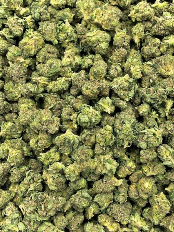 Keylime Jack THCa Flower – Premium Wholesale Strain with Citrusy Flavor and Energizing Effects