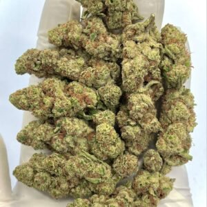 Purple Tesla THCa Flower – High-THCa Wholesale Strain with Grape Flavor, Vibrant Purple Buds, and Relaxing Effects