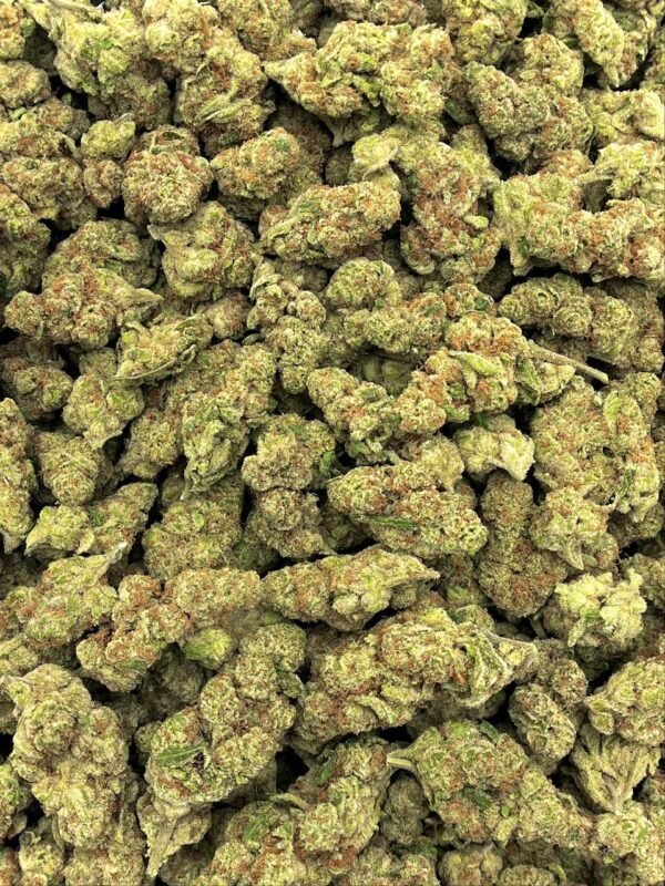 Purple Tesla THCa Flower – Premium Wholesale Strain with High THCa and Vibrant Effects