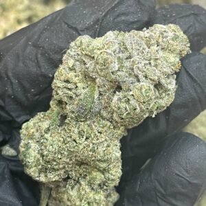 Gary Poppins THCa Flower Wholesale - High Potency & Premium Quality